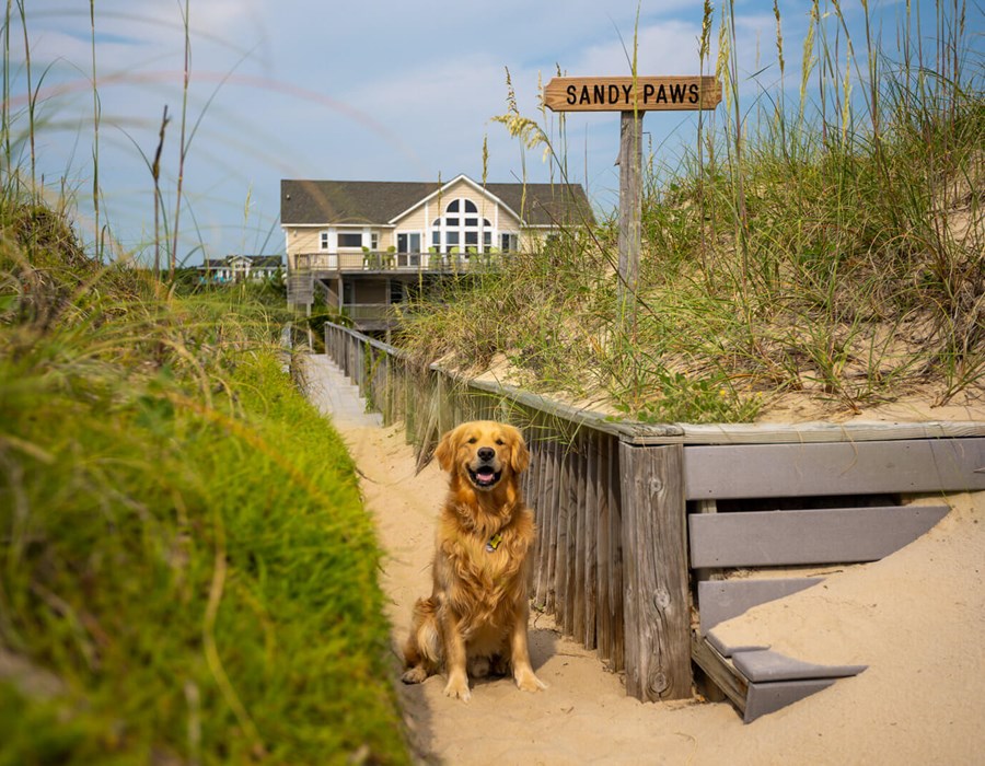 Outer Banks Pet Friendly